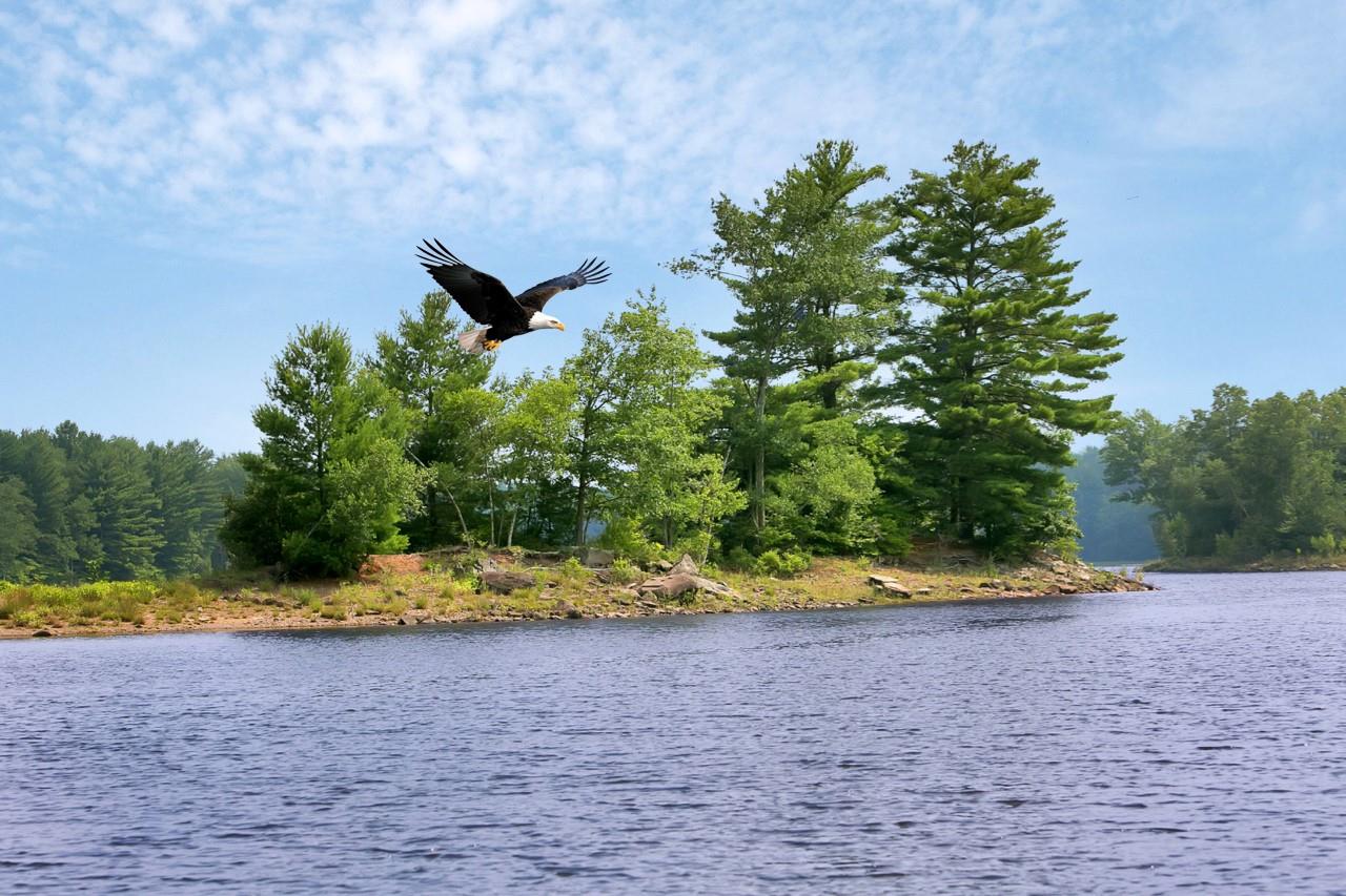 listing main picture