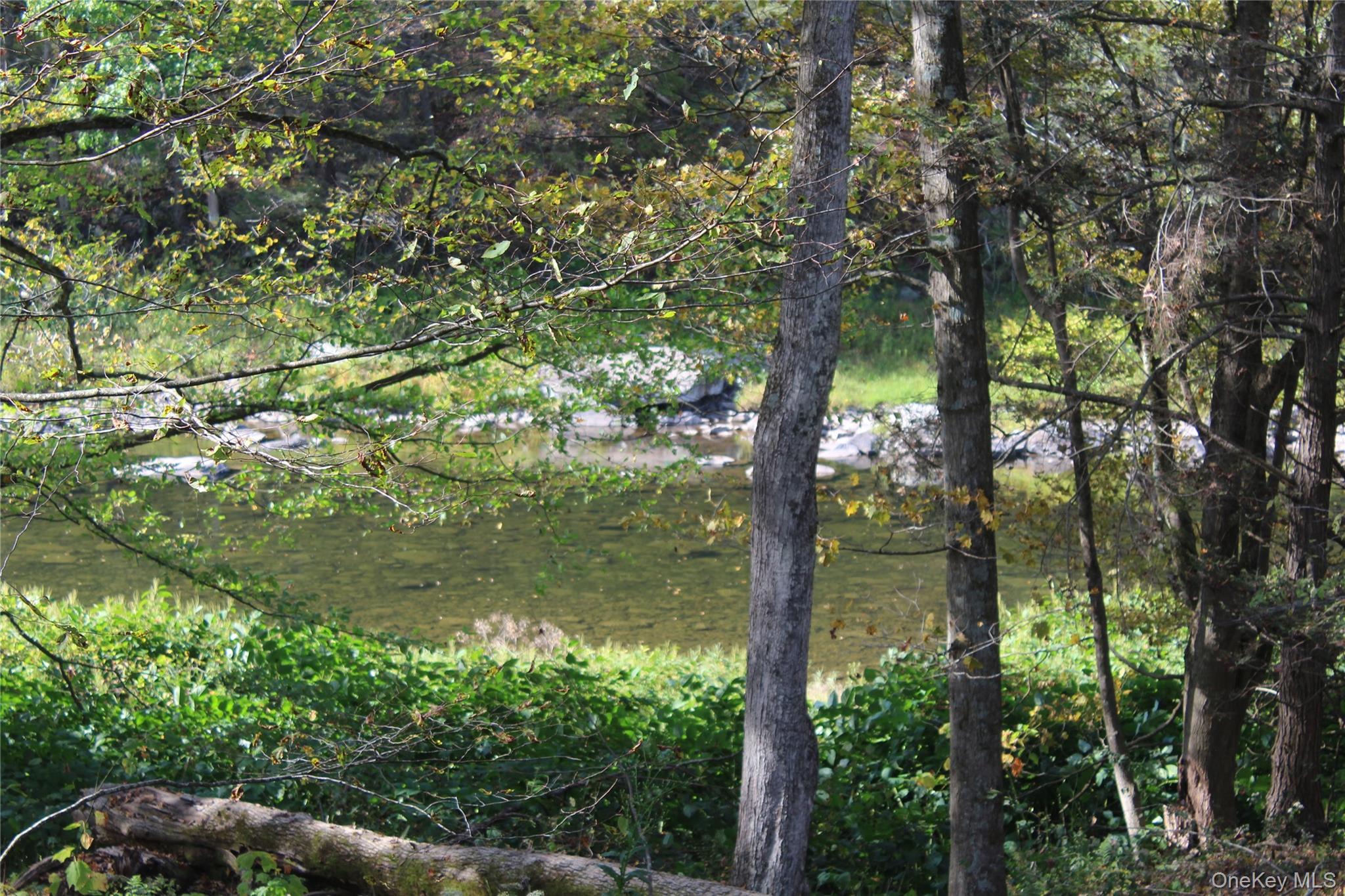 listing main picture