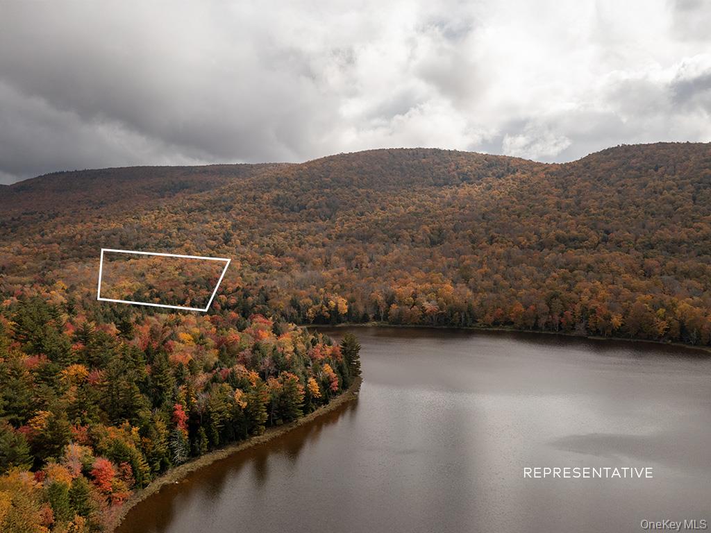 listing main picture