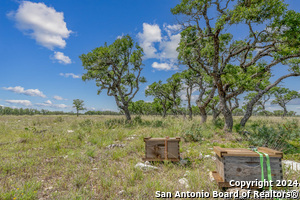 listing main picture