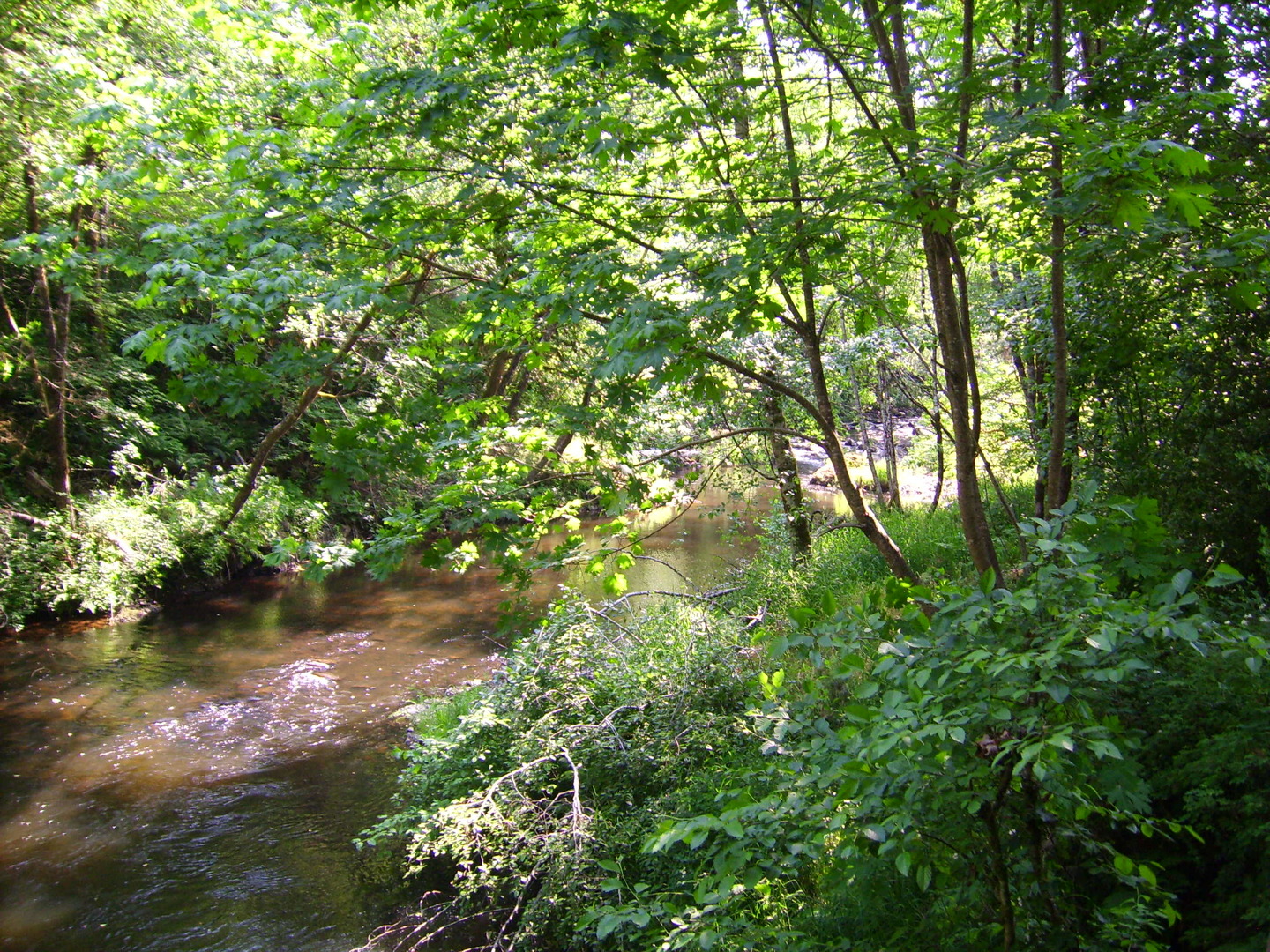 listing main picture
