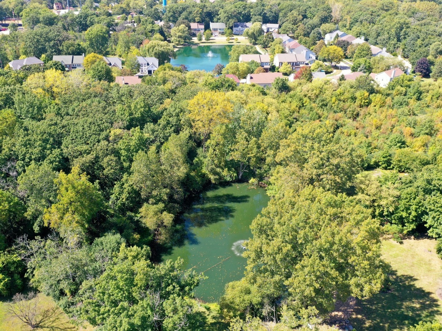 listing main picture