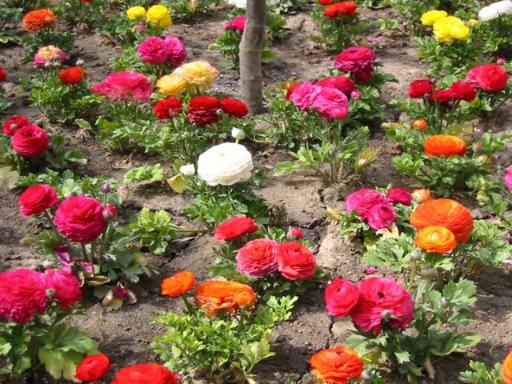 listing main picture