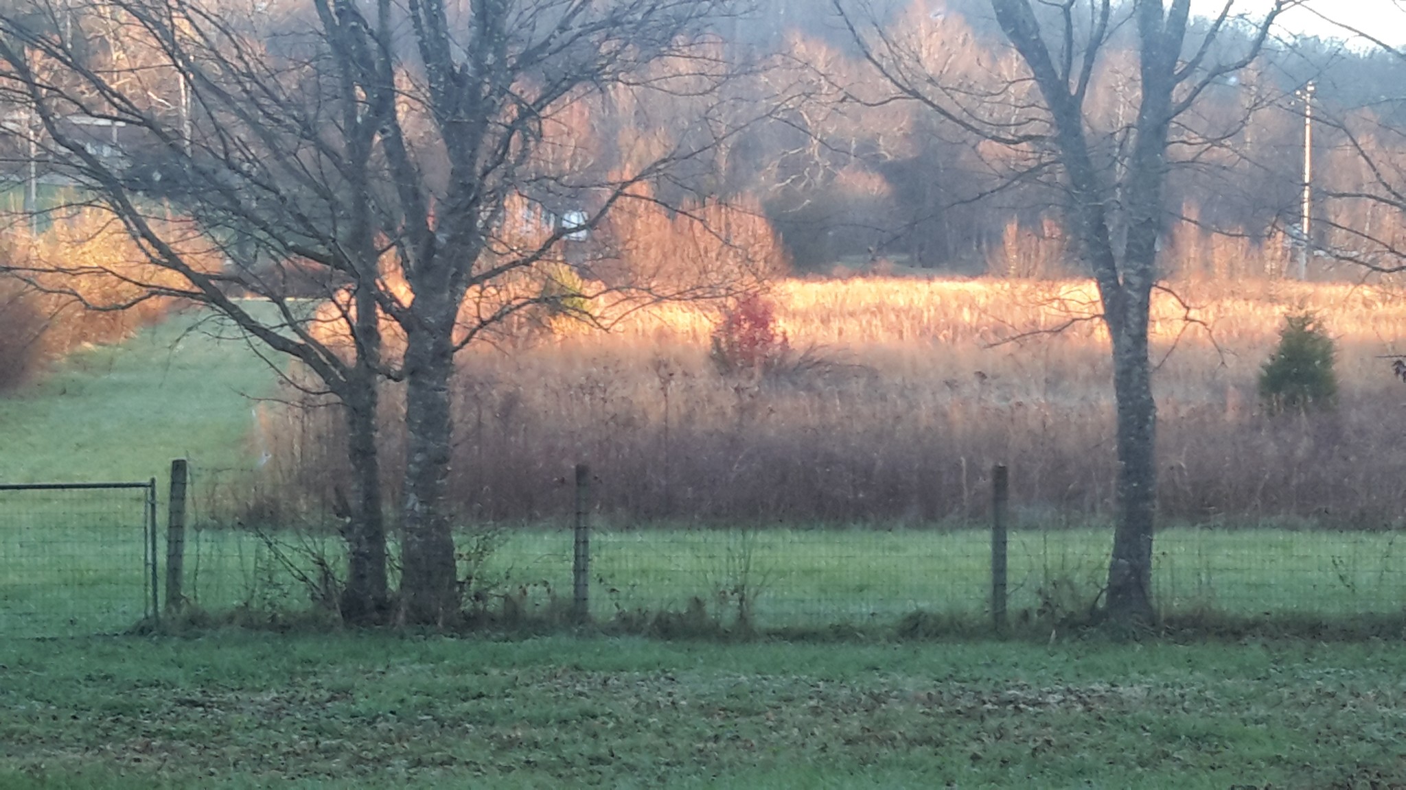 listing main picture