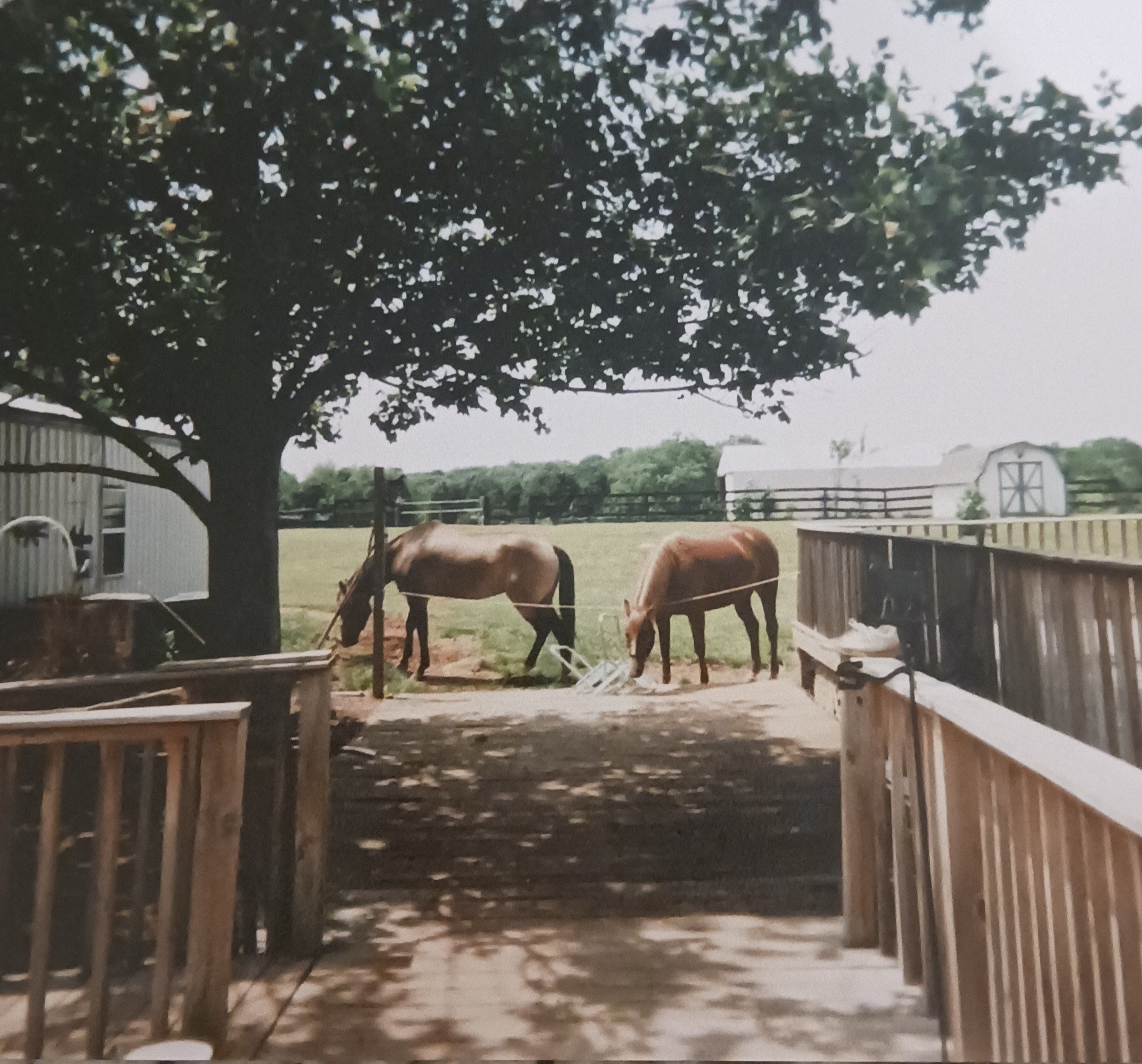 listing main picture