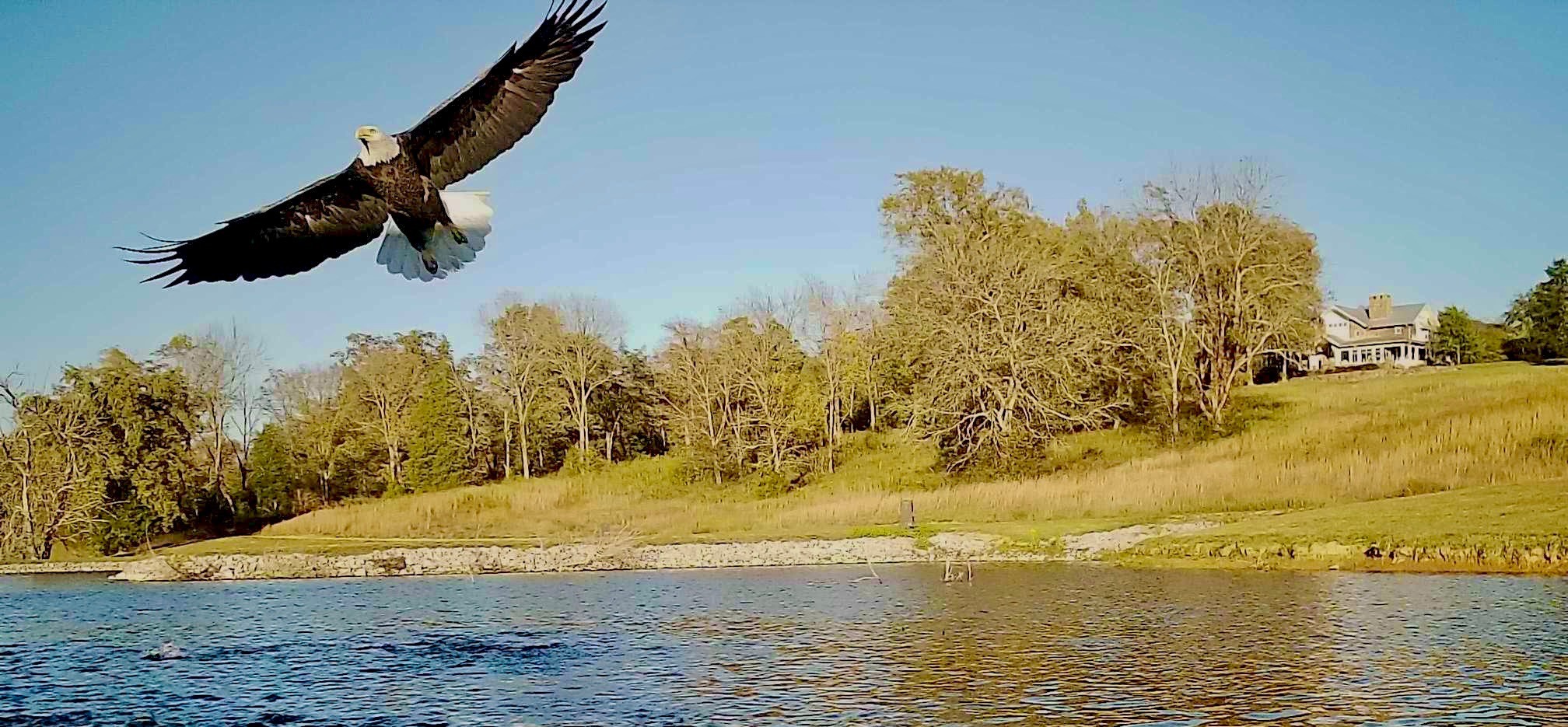 listing main picture