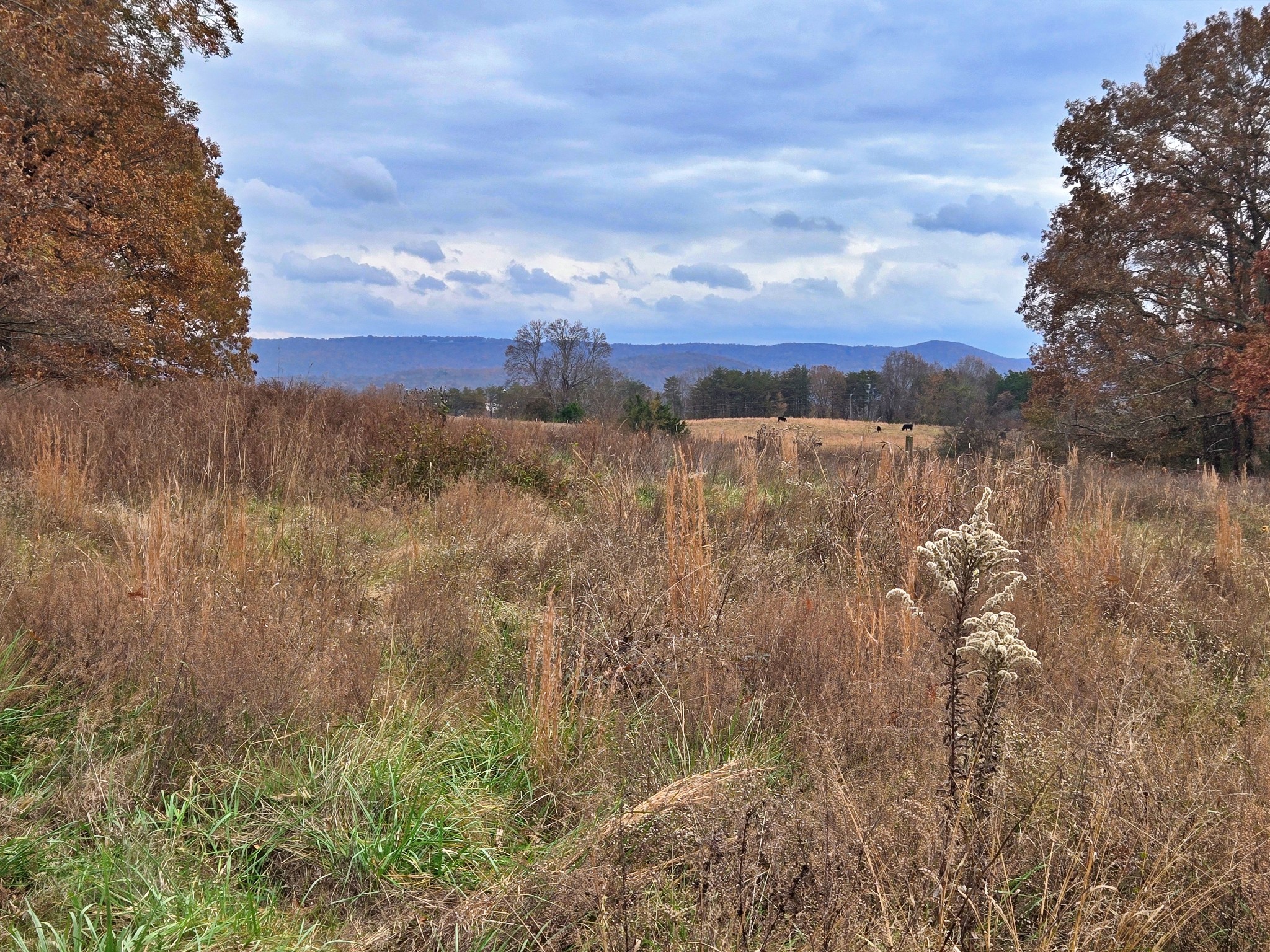 listing main picture