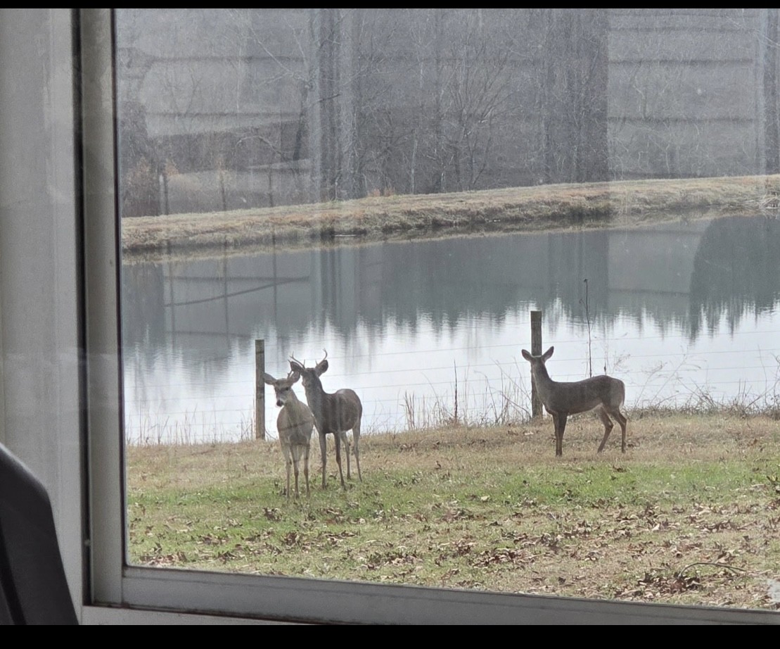 listing main picture