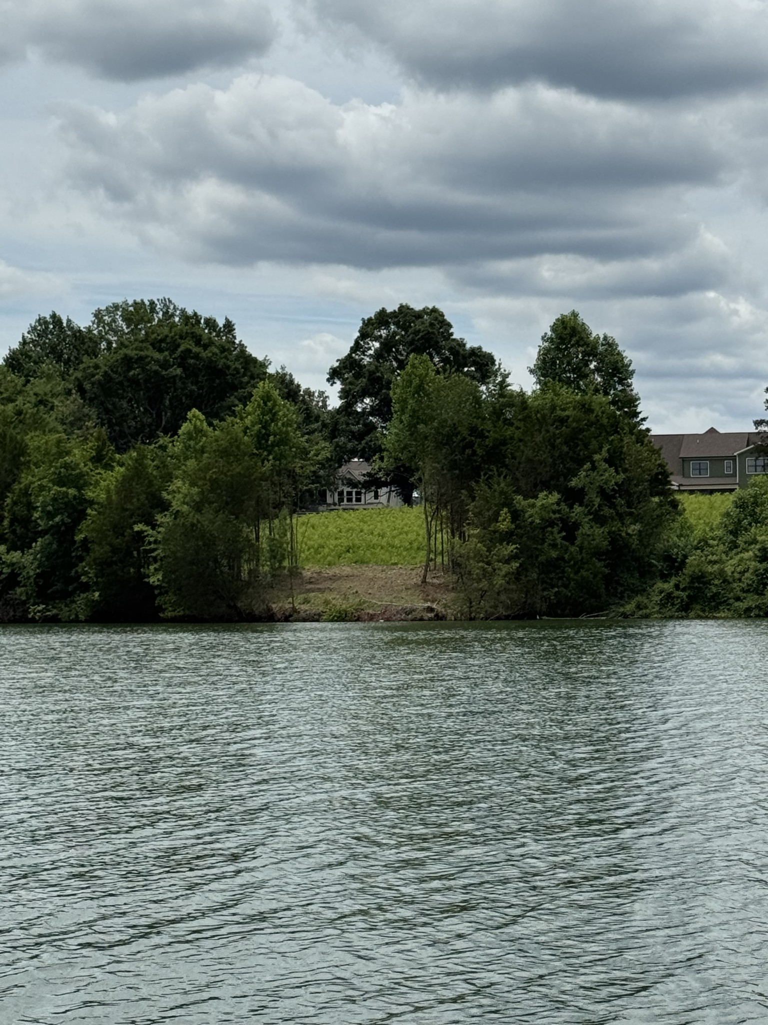picture-gallery