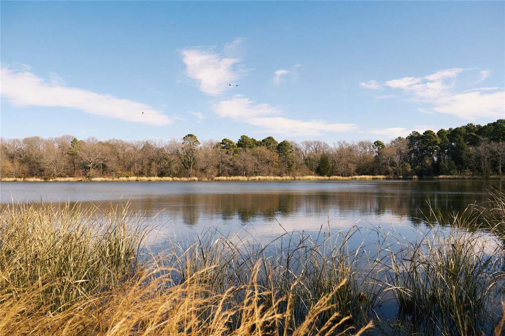 listing main picture