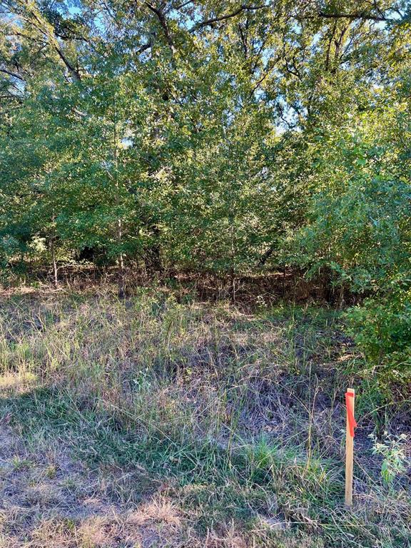 listing main picture