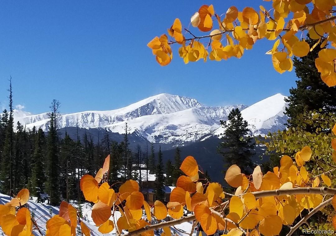 listing main picture