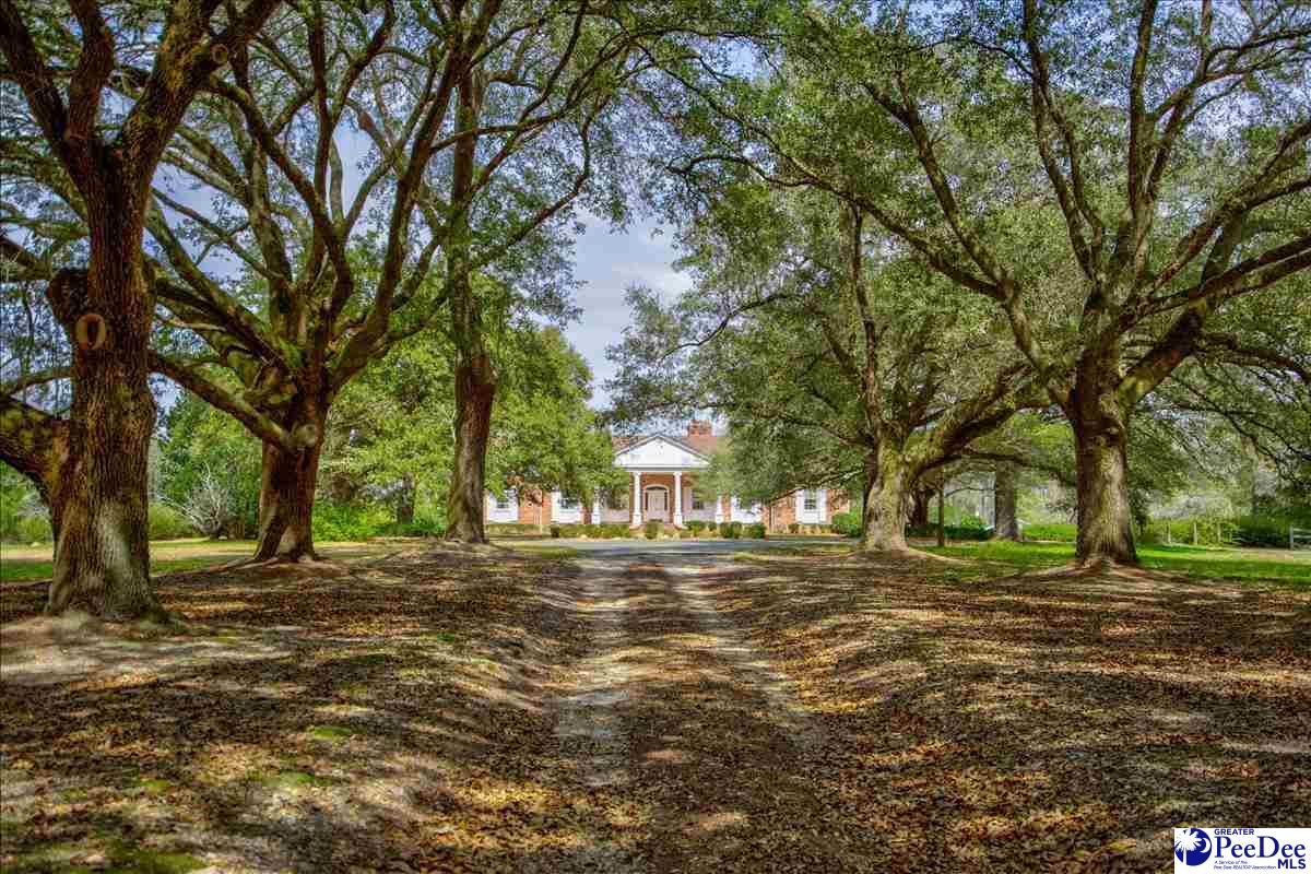 233 Poston Rd., Johnsonville, South Carolina, 29555