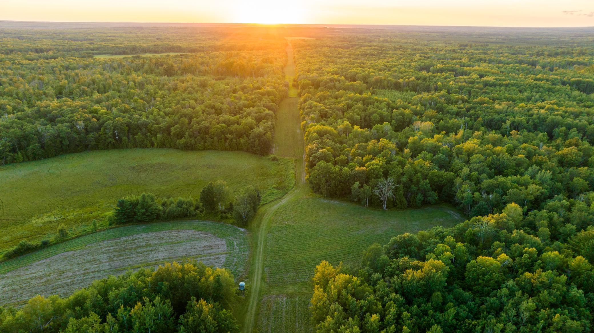 listing main picture