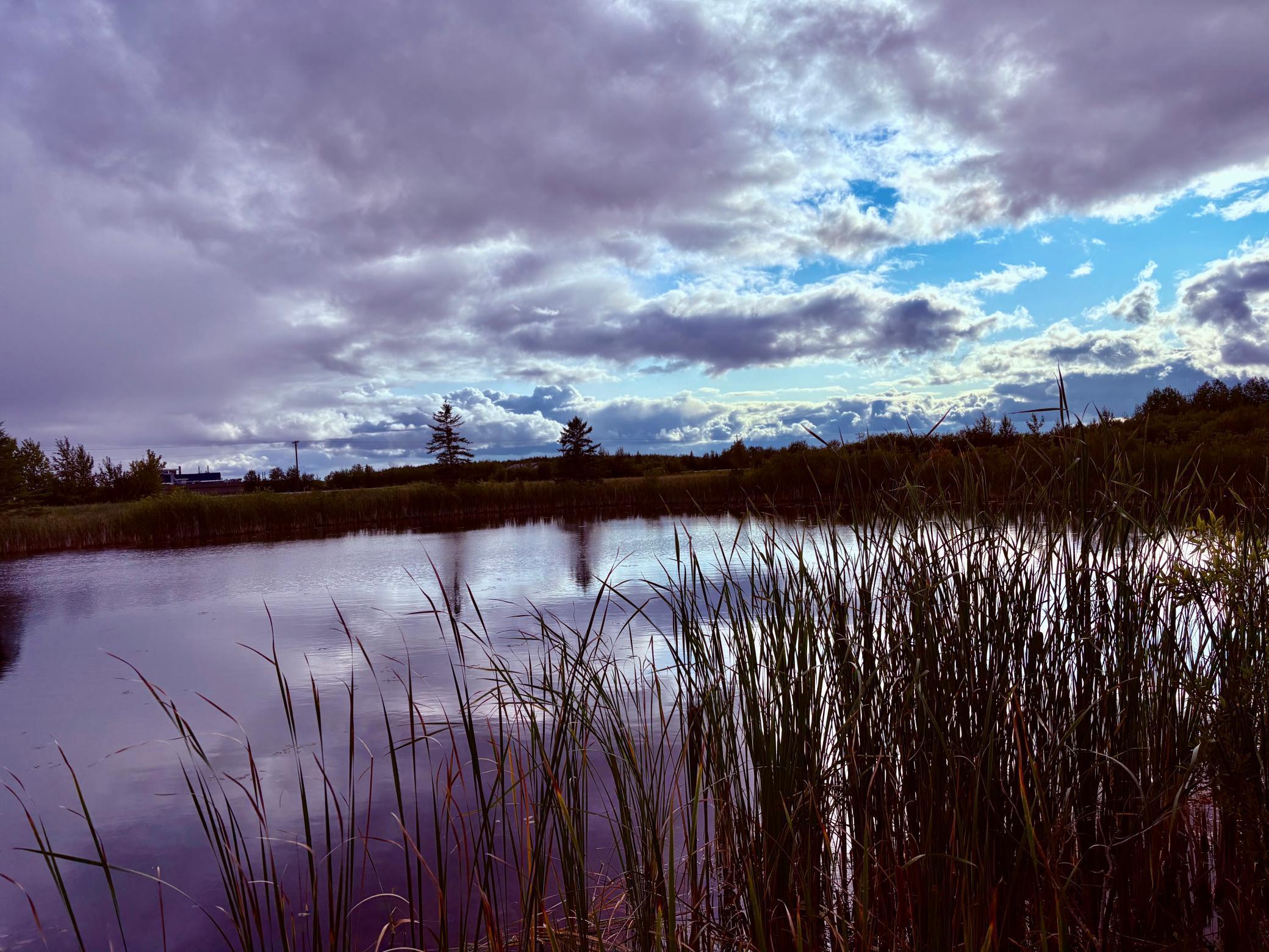 listing main picture