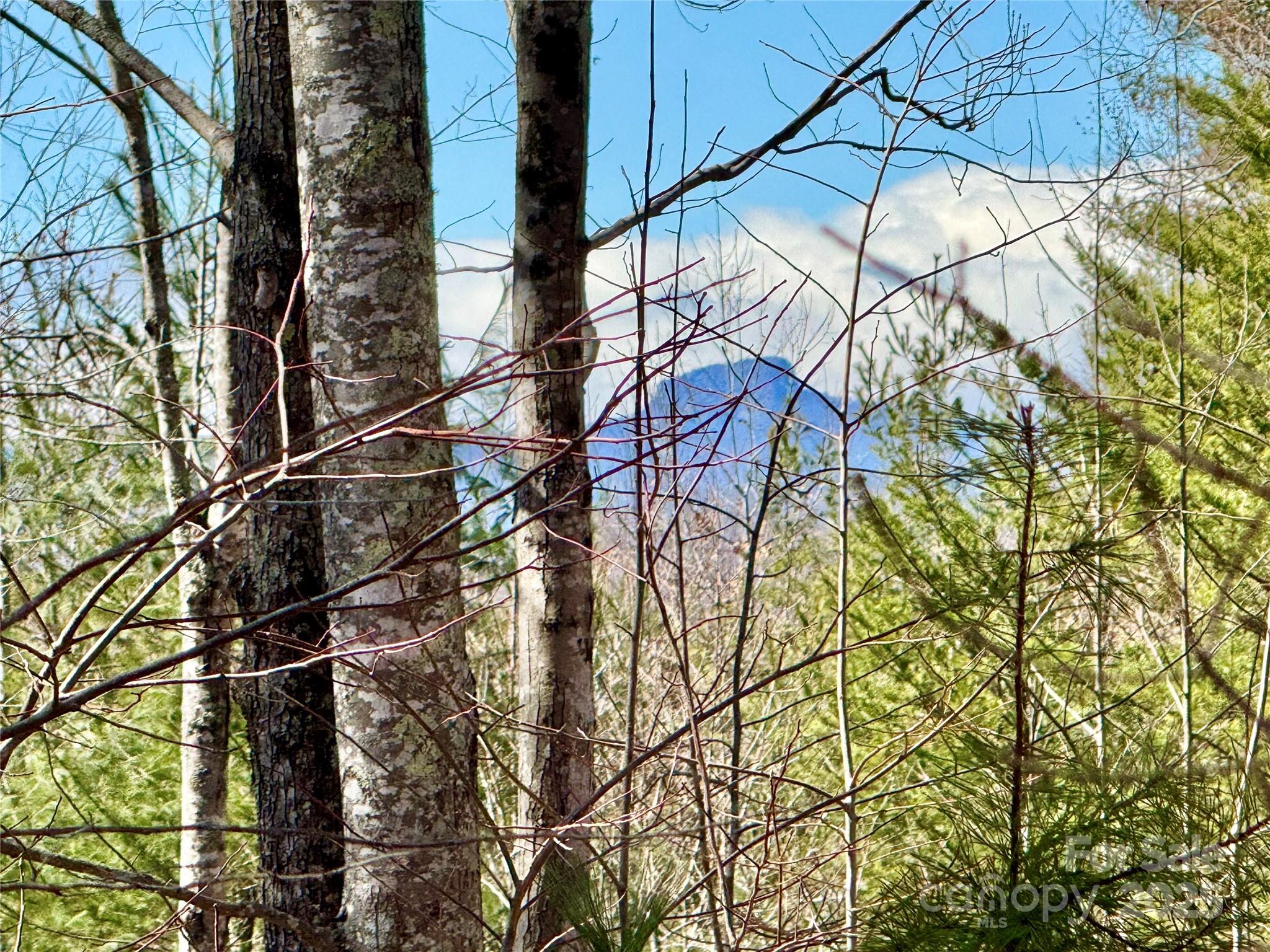 listing main picture