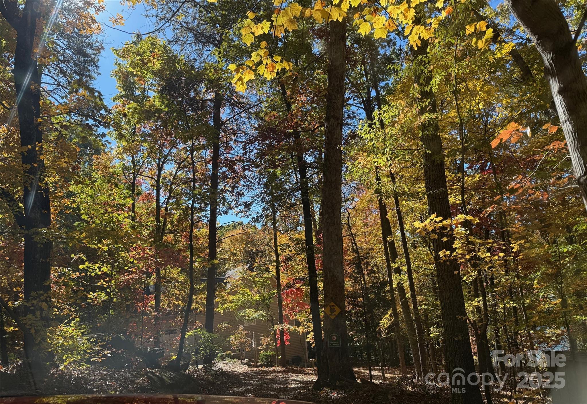 listing main picture