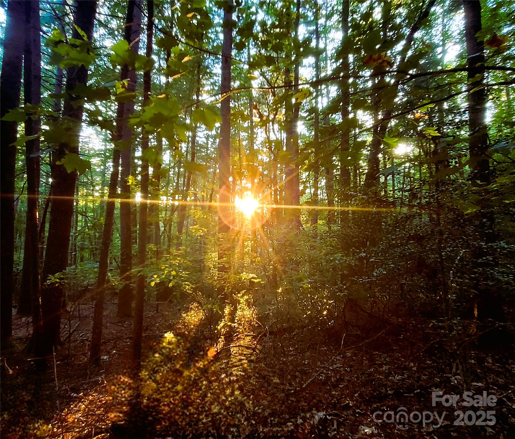 listing main picture