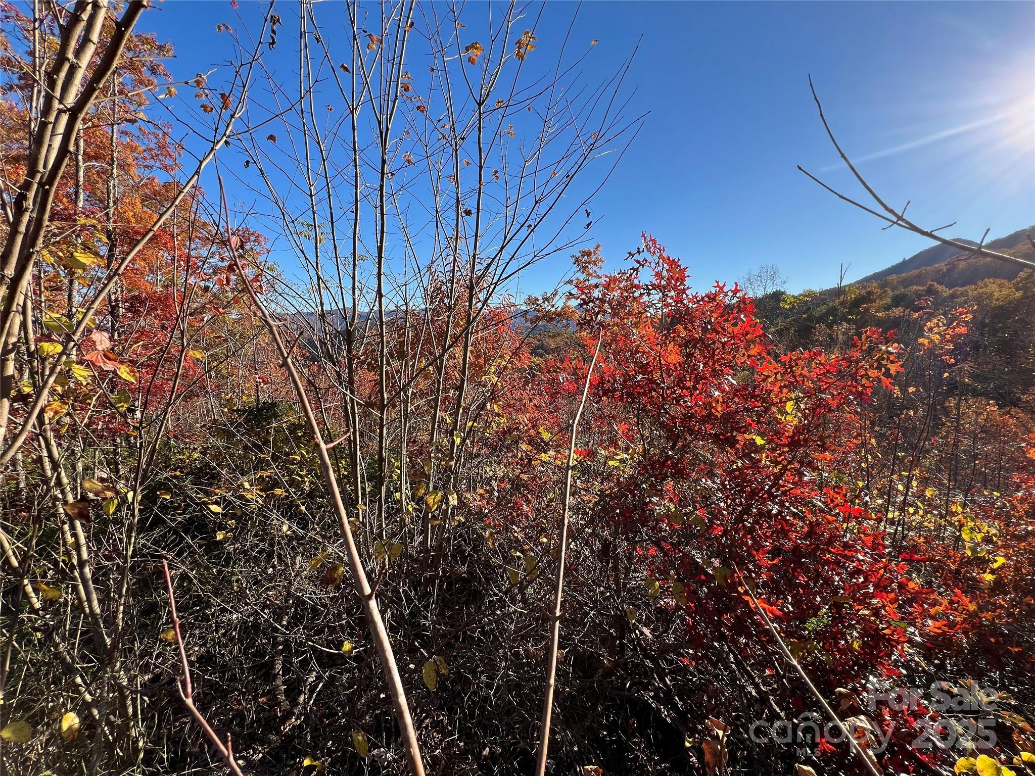 listing main picture