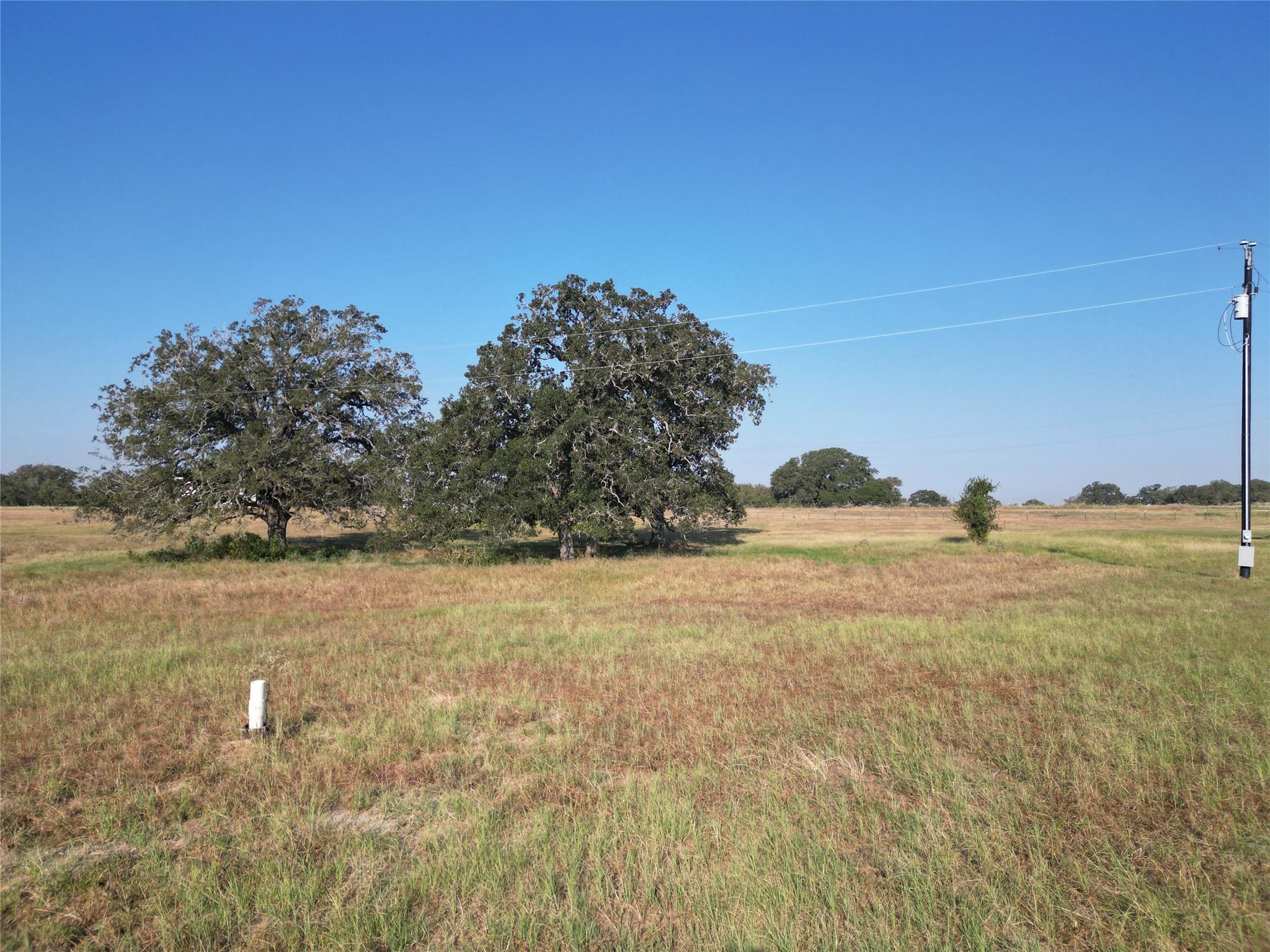 listing main picture