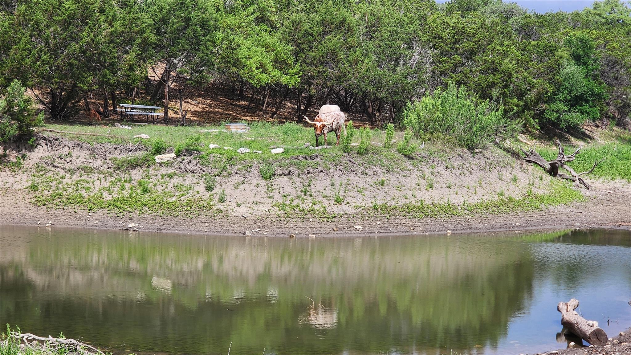 listing main picture