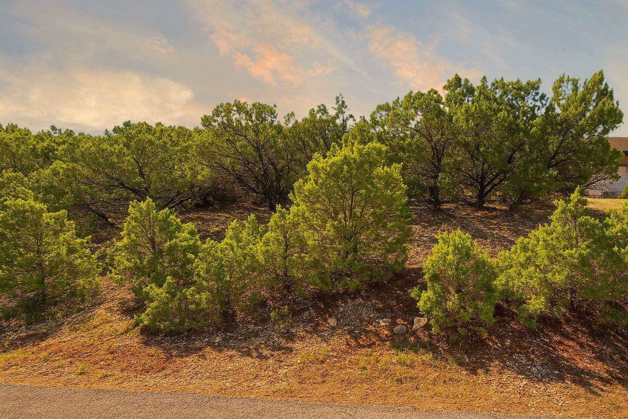 listing main picture