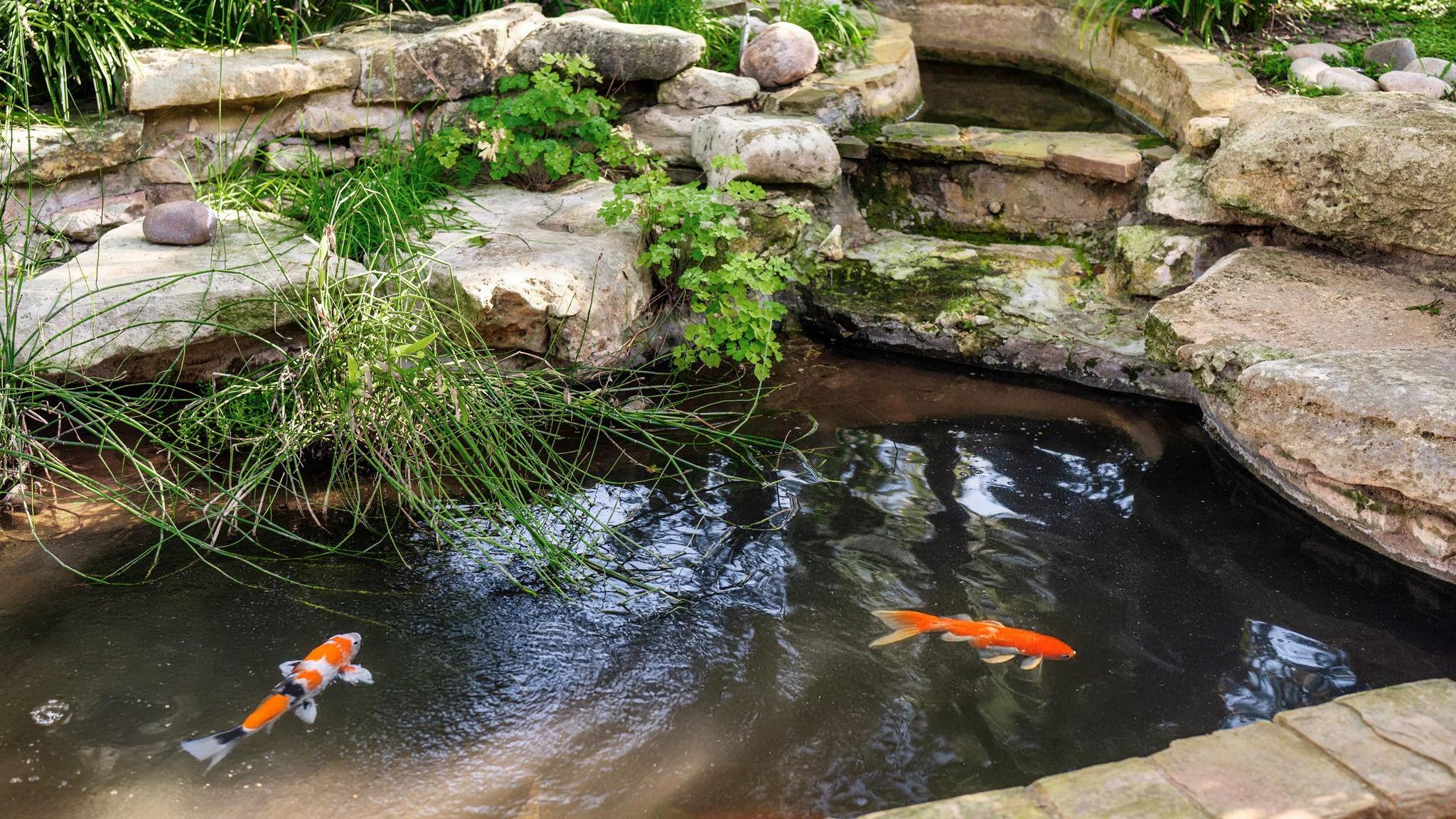 listing main picture