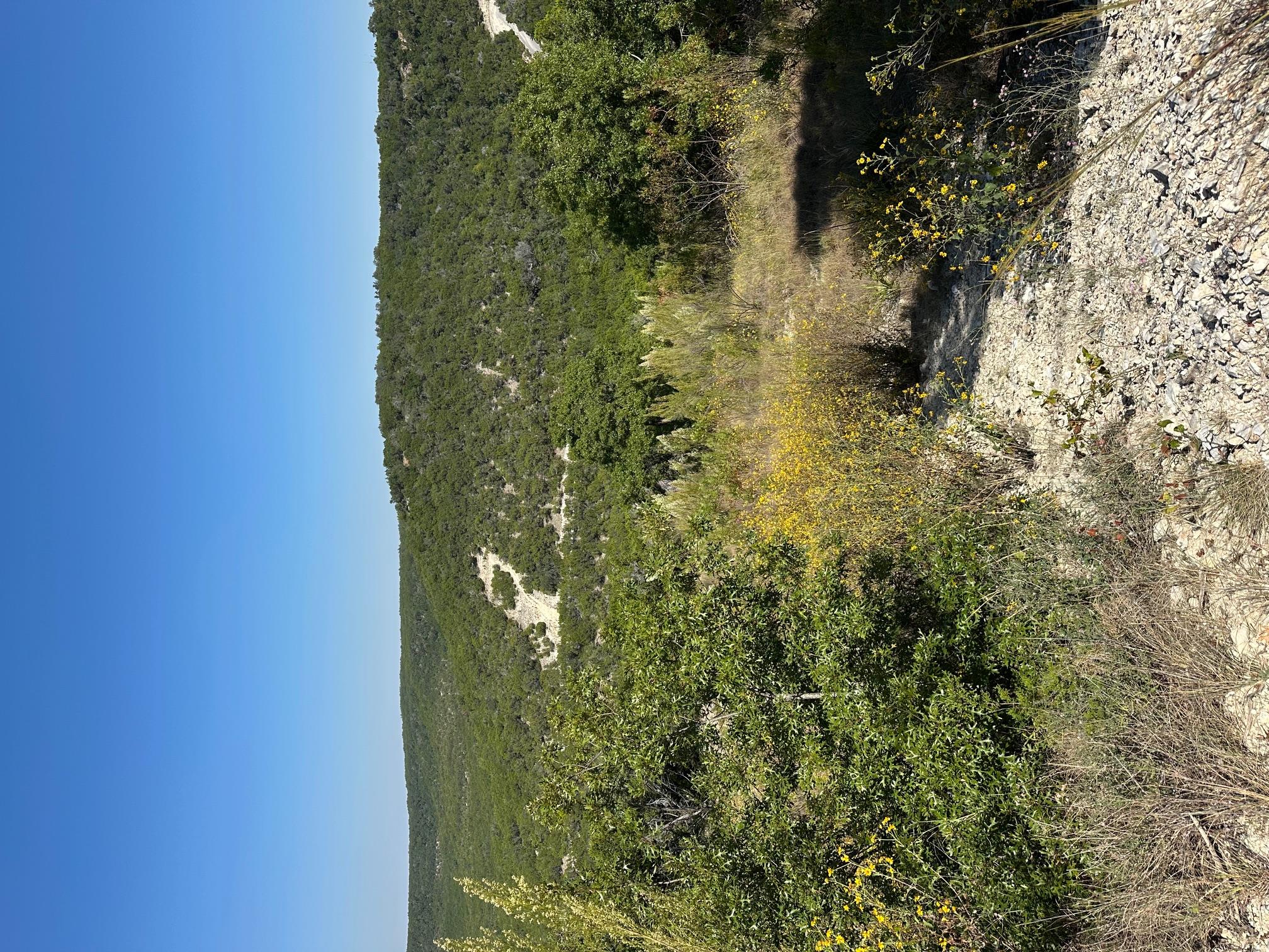 listing main picture