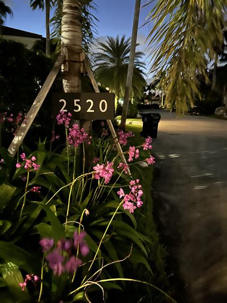 listing main picture