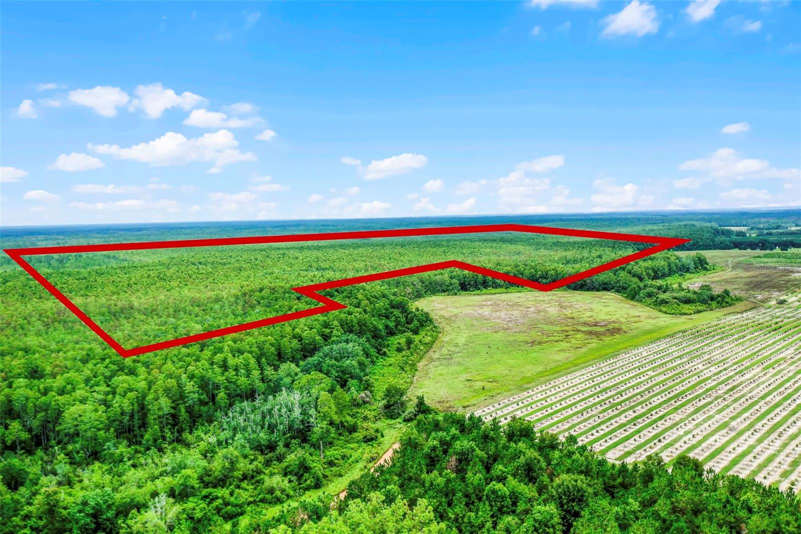 listing main picture