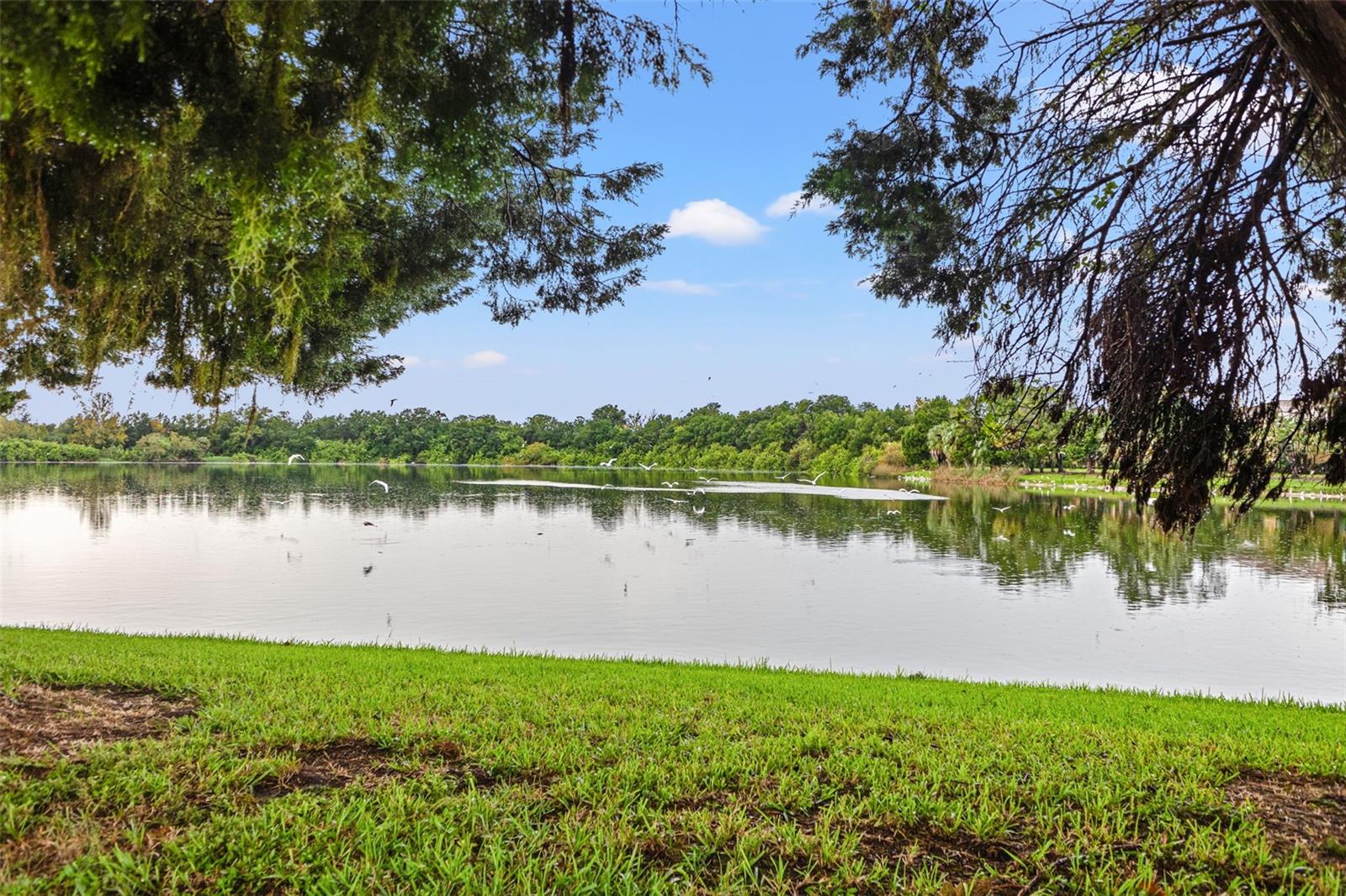 listing main picture