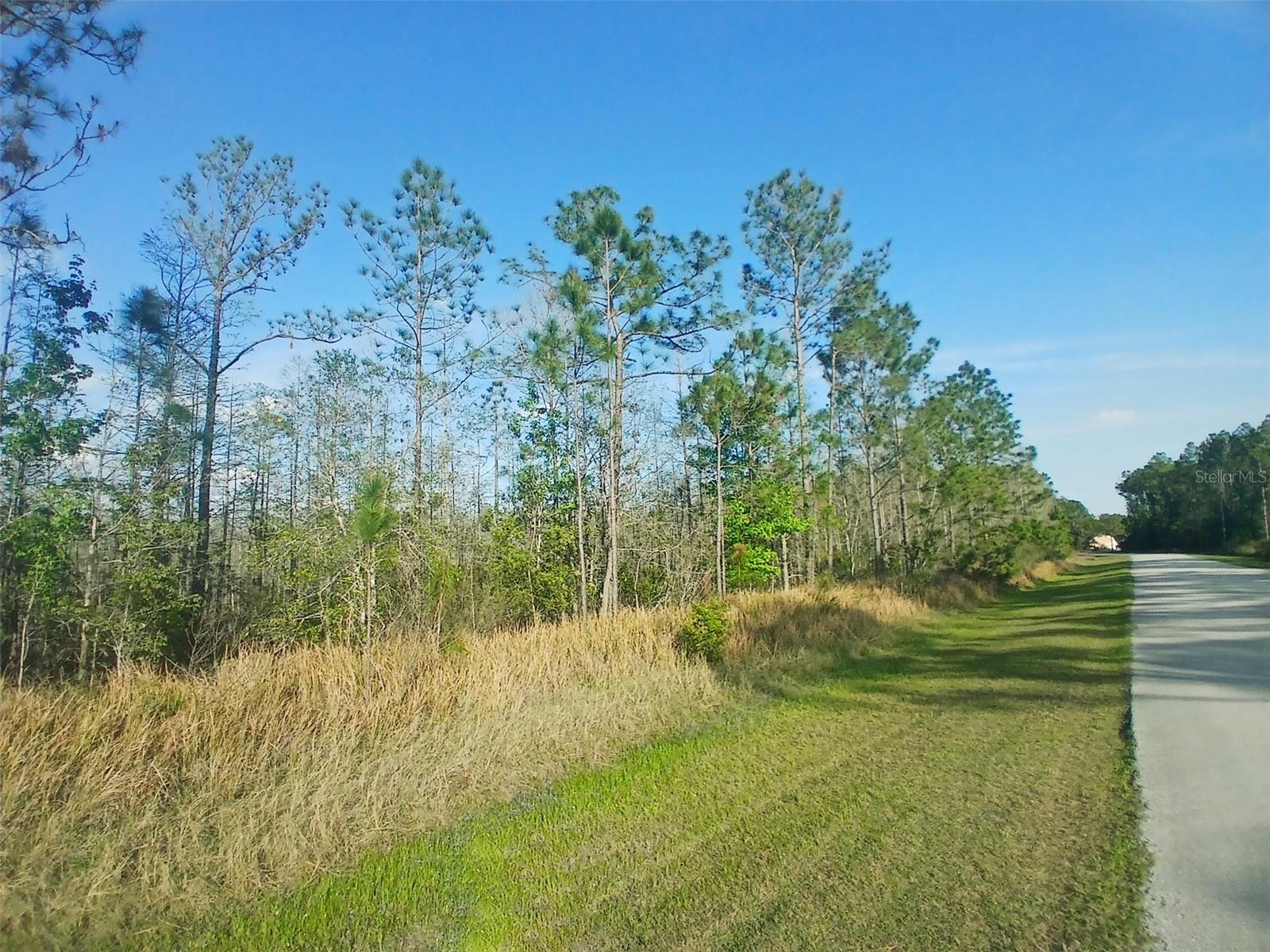 listing main picture