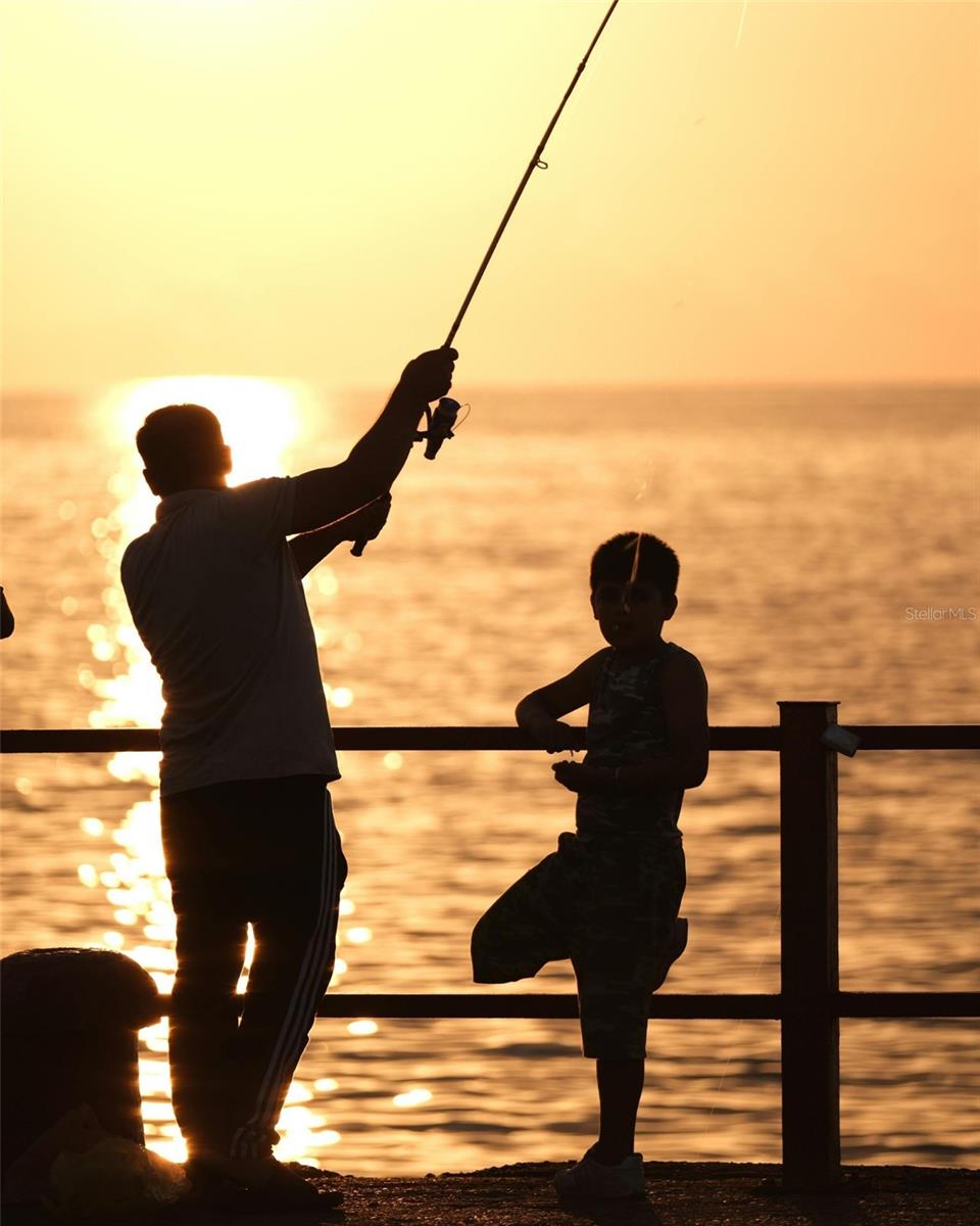 listing main picture