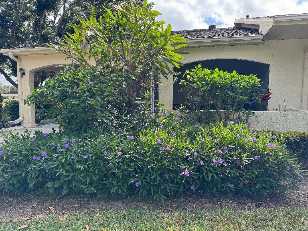 listing main picture