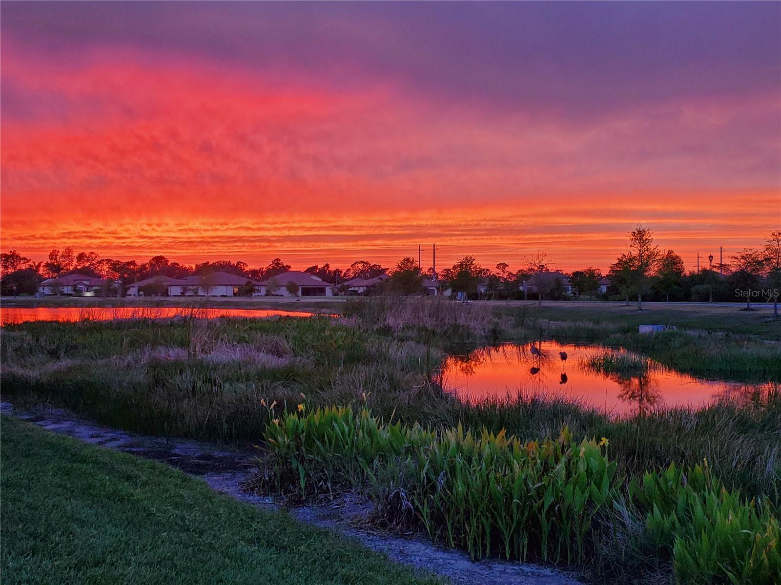 listing main picture