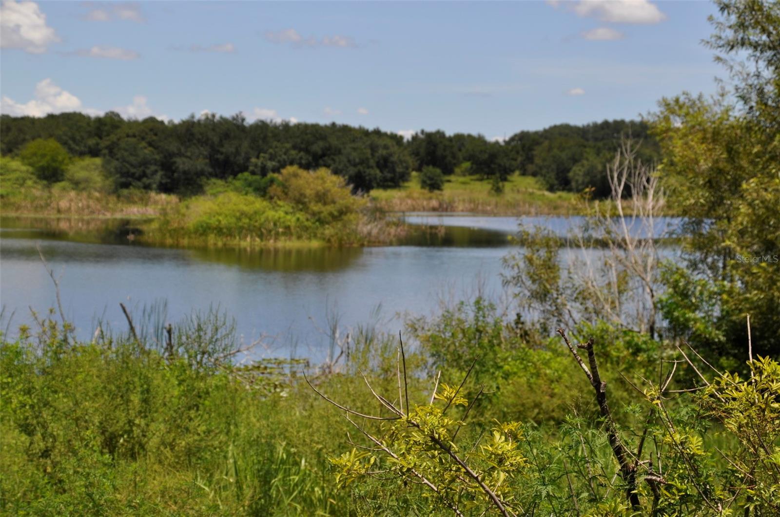 listing main picture