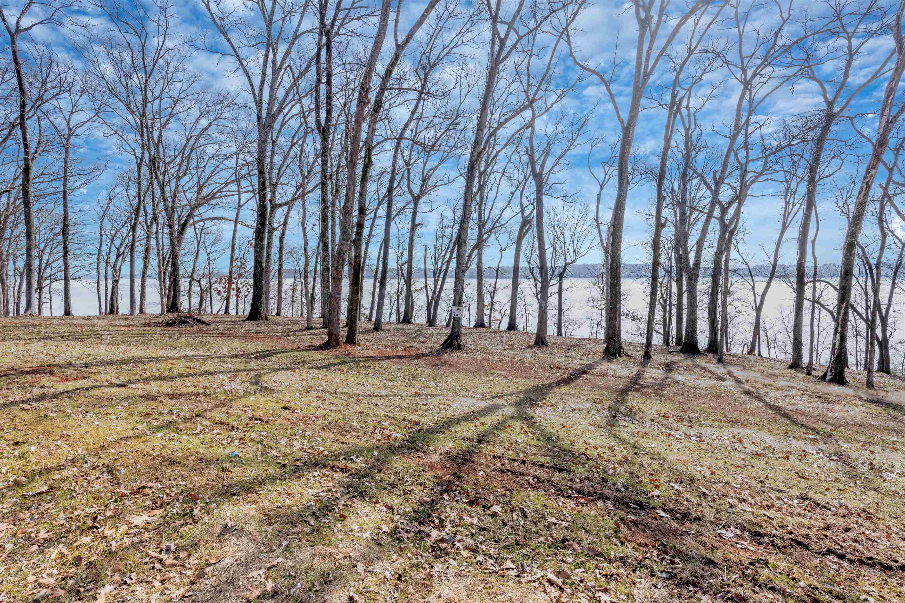 listing main picture