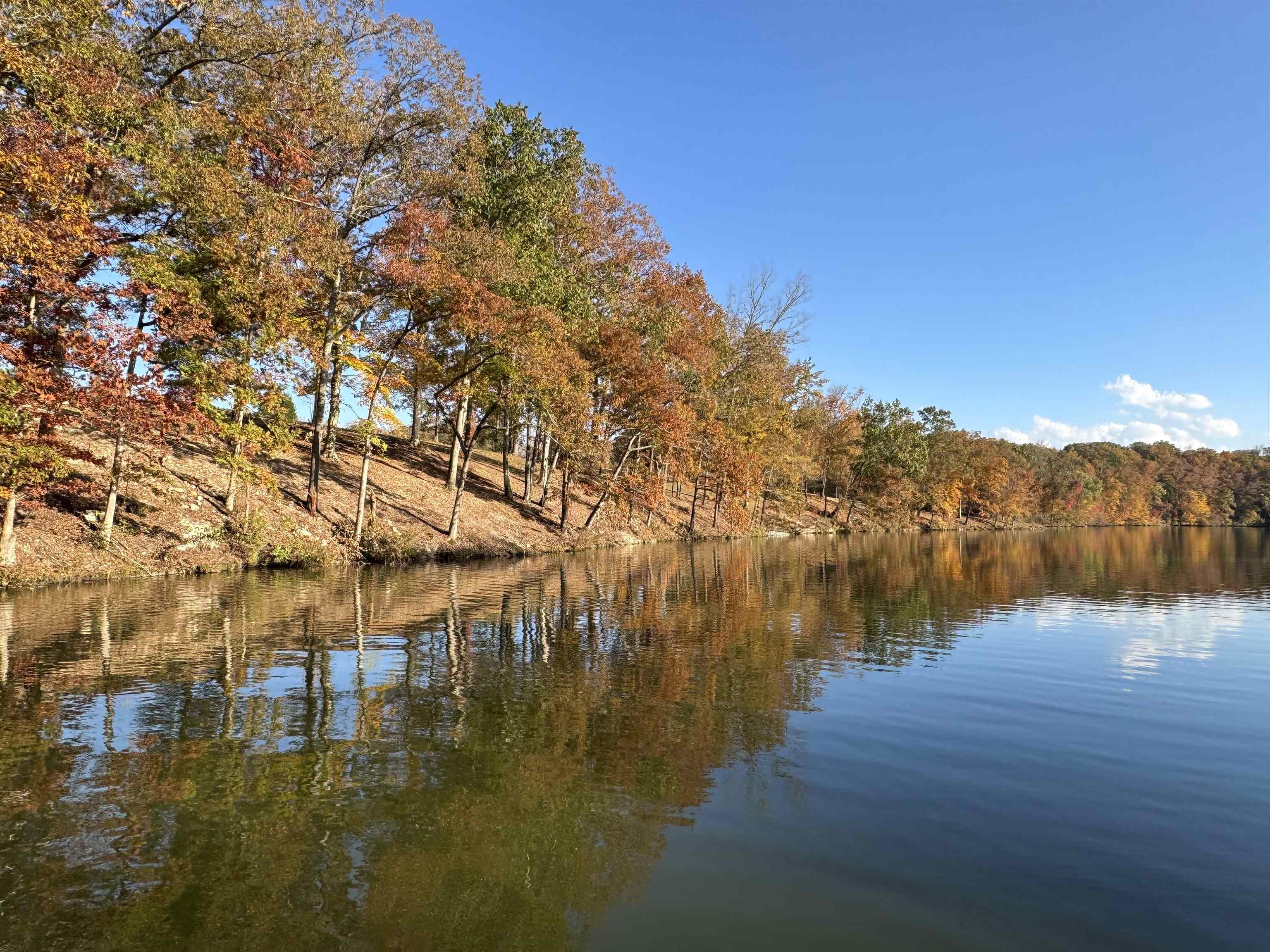 listing main picture